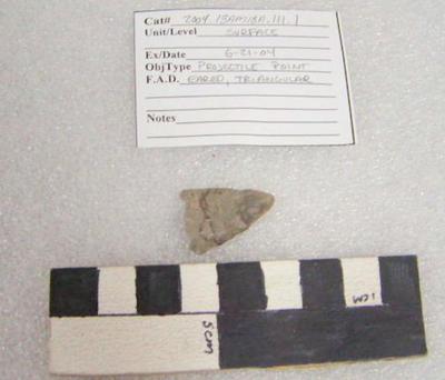 2004.001.00402; Stone Projectile Point- Triangular
