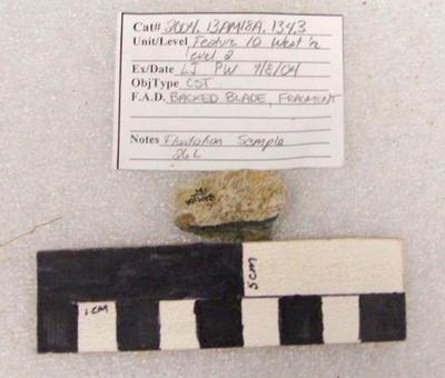 2004.001.00478; Chipped Stone- Tool