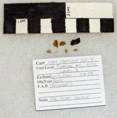 2004.001.00667; Faunal Bone- Fragment