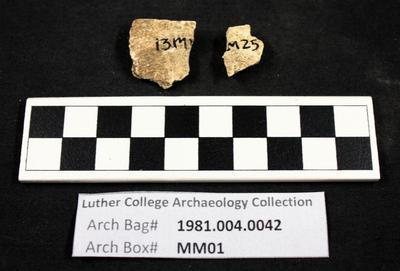 1981.004.0042; faunal bone- fragment