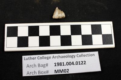 1981.004.0122; chipped stone- shatter- quartzite
