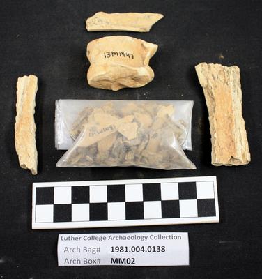 1981.004.0138; faunal bone- fragment