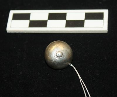 E1562: Silver button