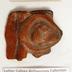 1969.PAN.00144: Sherd effgy handle; Conte