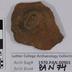 1970.PAN.00901: Plain ware rim sherd with handle fragment