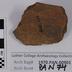 1970.PAN.00901: Plain ware rim sherd with handle fragment