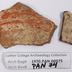 1970.PAN.00975: Polychrome body sherds