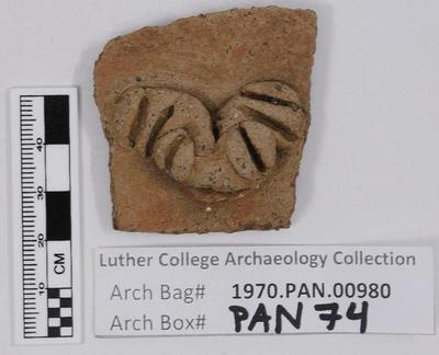 1970.PAN.00980: Body sherd with effigy applique