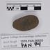 1970.PAN.00820: Groundstone tool (GST)