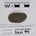 1970.PAN.00820: Groundstone tool (GST)