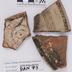 1970.PAN.00743: Polychrome rim sherds