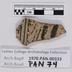 1970.PAN.00333: Polychrome body sherd