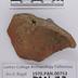 1970.PAN.00753: Polychrome embossed body sherd