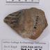 1970.PAN.00753: Polychrome embossed body sherd