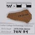 1970.PAN.00333: Polychrome body sherd