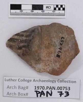 1970.PAN.00753: Polychrome embossed body sherd