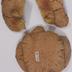 1969.PAN.00027: Partially reconstructed bowl with effigy handles; Veraguas