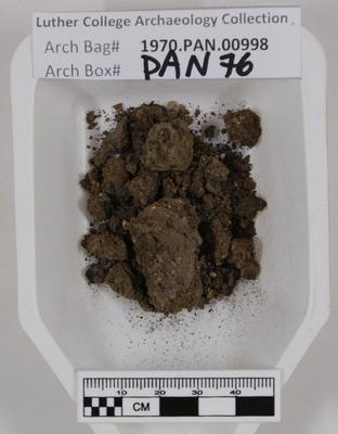 1970.PAN.00998: Soil sample with burned wood