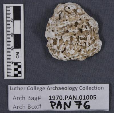 1970.PAN.01005: Burnt shell fragment
