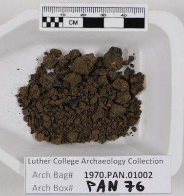 1970.PAN.01002: Soil sample with burned wood