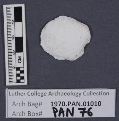 1970.PAN.01010: Bivalve shell fragment