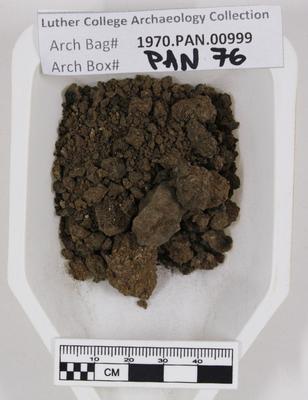 1970.PAN.999: Soil sample with burned seeds and wood