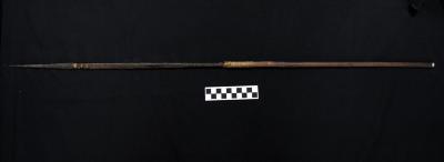 E1654: New Guinea Long Pointed Arrow - Small Ridges