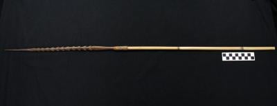 E1655: New Guinea Simple Barbed Arrow