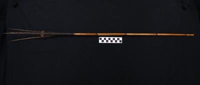 E1642: New Guinea Bird Hunting Arrow