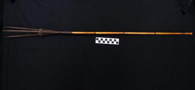 E1642: New Guinea Bird Hunting Arrow