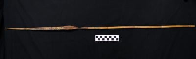 E1644: New Guinea Bamboo Pig Hunting Arrow