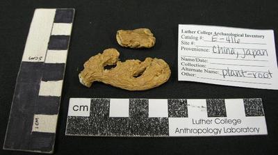 E0416B: Possible Ginger Root